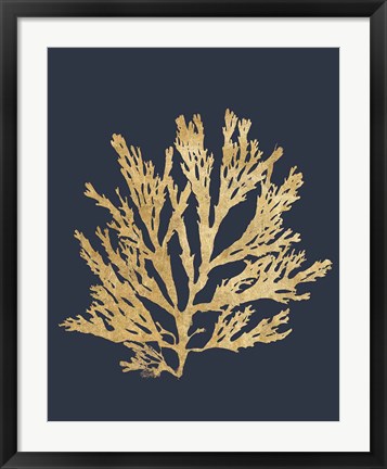 Framed Pacific Sea Mosses I Indigo Print