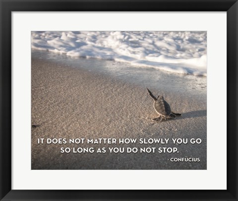 Framed Do Not stop Print