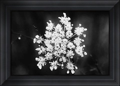 Framed Diamond Brooch Print