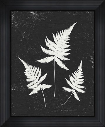Framed Forest Shadows IV Black Crop Print