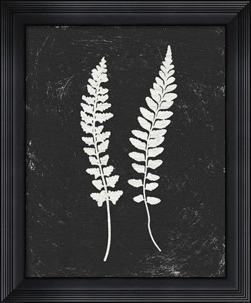Framed Forest Shadows III Black Crop Print