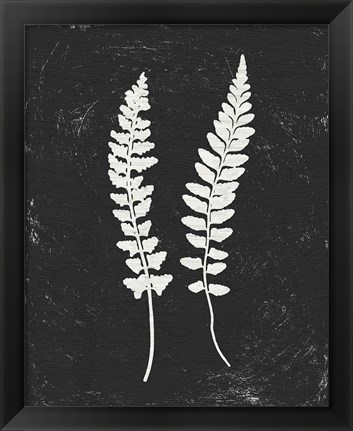 Framed Forest Shadows III Black Crop Print
