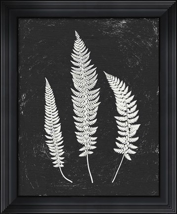 Framed Forest Shadows II Black Crop Print