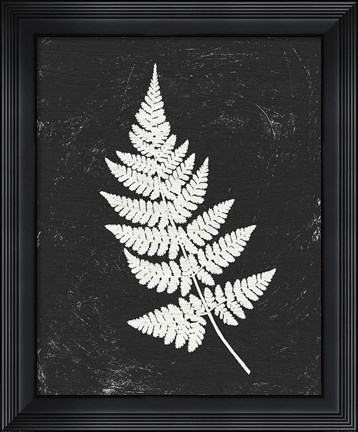Framed Forest Shadows I Black Crop Print
