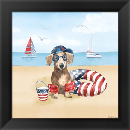 Framed Summer Paws Patriotic III Print