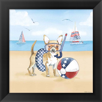 Framed Summer Paws Patriotic II Print