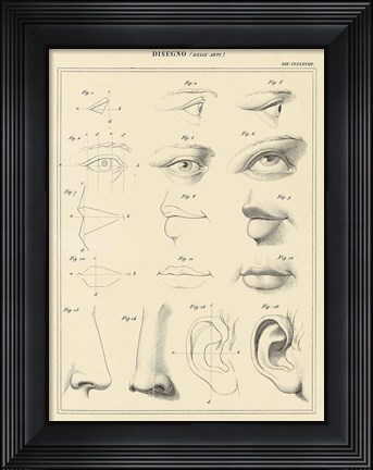 Framed Face Chart Print