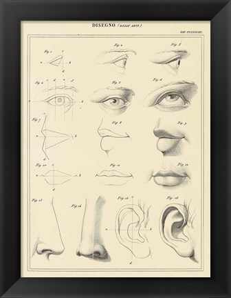 Framed Face Chart Print