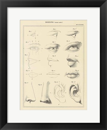 Framed Face Chart Print