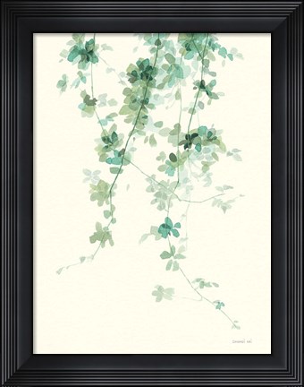 Framed Trailing Vines II Print