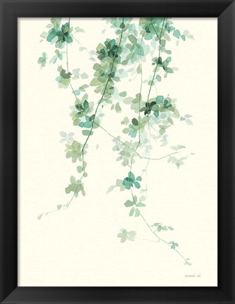 Framed Trailing Vines II Print