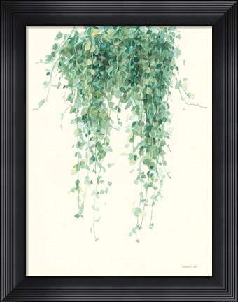 Framed Trailing Vines I Print