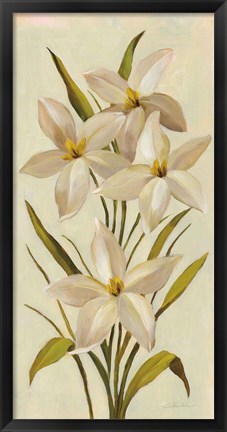 Framed Elegant White Florals II Print