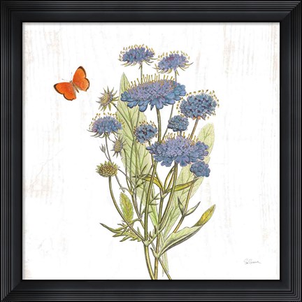Framed White Barn Flowers IX Sq Print