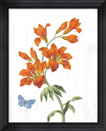 Framed White Barn Flowers VII Print