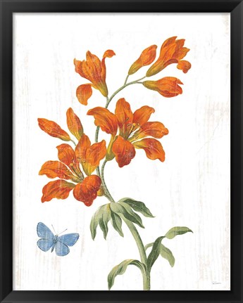 Framed White Barn Flowers VII Print