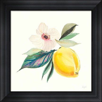 Framed Citrus Summer III Print