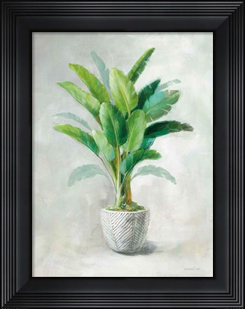 Framed Greenhouse Palm II Print