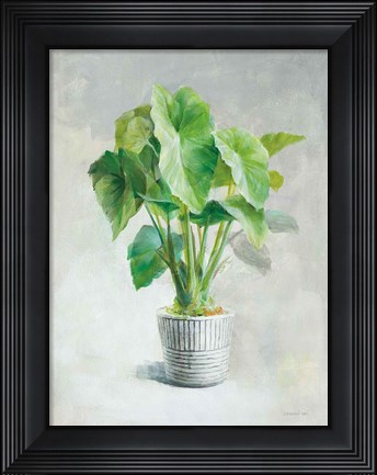 Framed Greenhouse Palm I Print