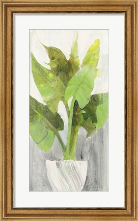 Framed Tropical Planter I Print