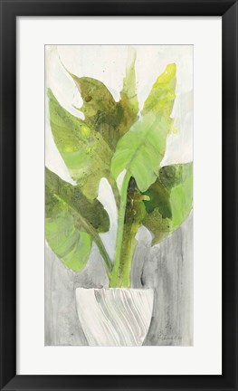 Framed Tropical Planter I Print