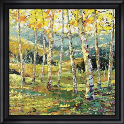 Framed Point Of View Print