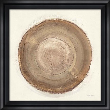 Framed Through The Years II Print