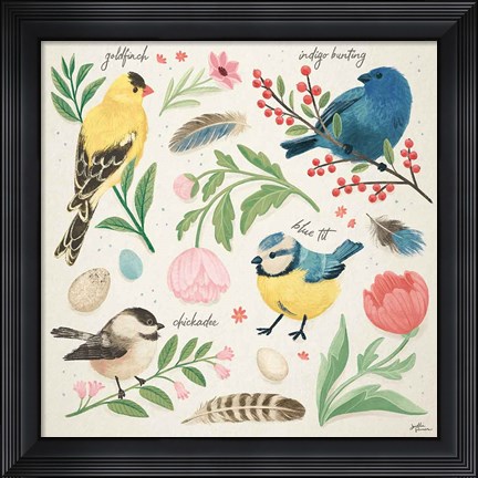Framed Bird Study II Print