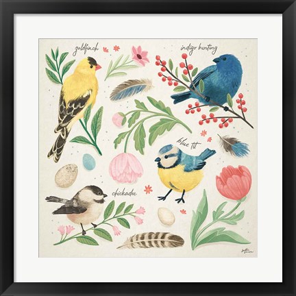 Framed Bird Study II Print