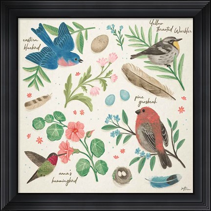 Framed Bird Study III Print