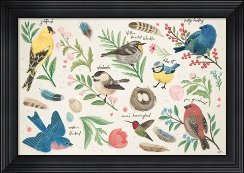 Framed Bird Study I Print