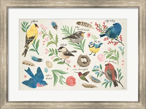 Framed Bird Study I Print