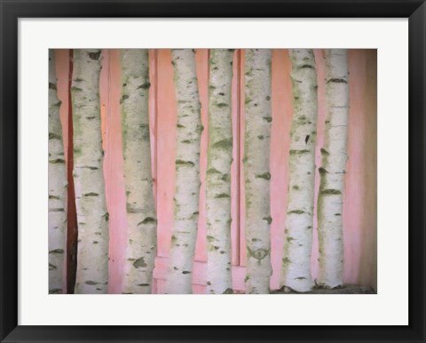 Framed Birch Logs On Pink Print