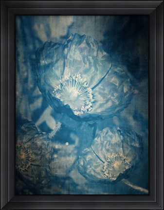 Framed Three Poppies In Blue Print