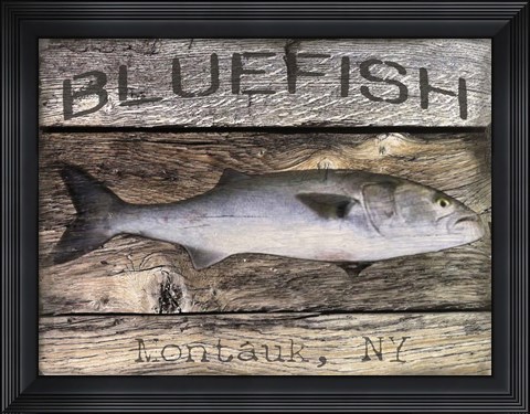 Framed Bluefish Print