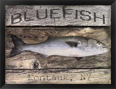 Framed Bluefish Print