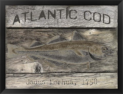 Framed Atlantic Cod Print