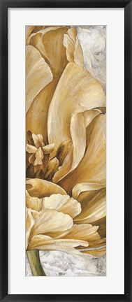 Framed Floral II Print