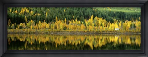 Framed Osterdalen Glomma River, Koppang, Norway Print