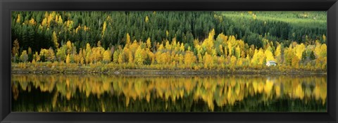 Framed Osterdalen Glomma River, Koppang, Norway Print