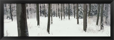 Framed Chestnut Ridge Park Orchard Park NY Print