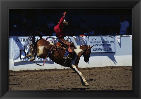 Framed Saddle Bronc Rider Print