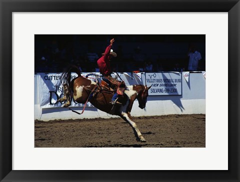 Framed Saddle Bronc Rider Print