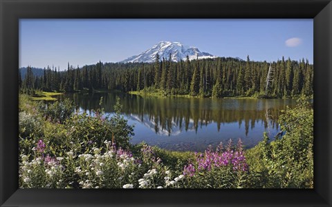 Framed Reflection Of A Mountain And Trees In Water, Mt Rainier National Park, Washington State Print