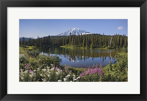 Framed Reflection Of A Mountain And Trees In Water, Mt Rainier National Park, Washington State Print