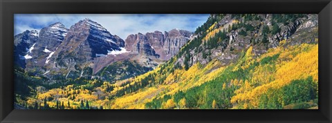 Framed Aspen Trees In Autumn With Mountains In The Background, Elk Mountains, Colorado Print
