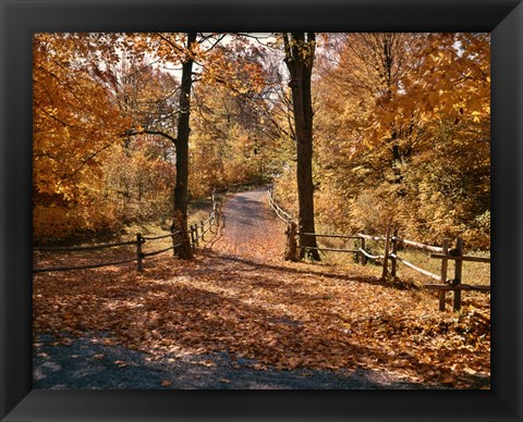 Framed 1960s AUTUMN TRAIL PARK PATH WISCONSIN Print