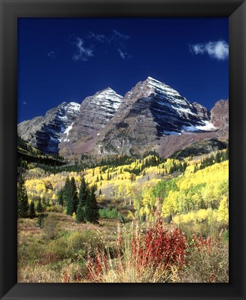 Framed Maroon Bells Peaks White River National Forest Colorado Print
