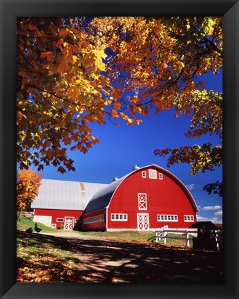 Framed Big Red Barn Autumn Farm Scenic Print