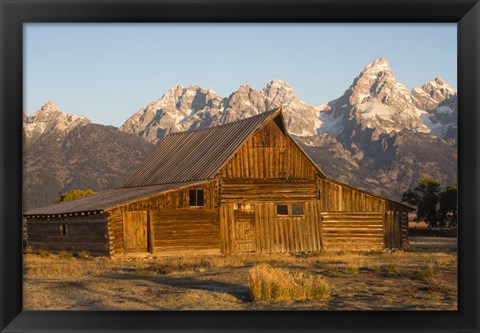 Framed Barn In Field With Mountain Range In The Background, Wyoming Print